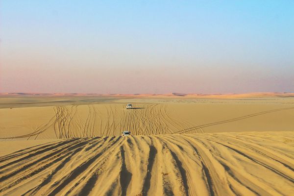 The 3 Types Of Desert Safaris in Qatar